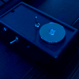 Voice Programmed Potentiser (VPP)